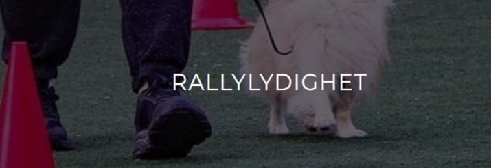 Rallylydighet fellestreninger onsdager (krever hallabonnent)